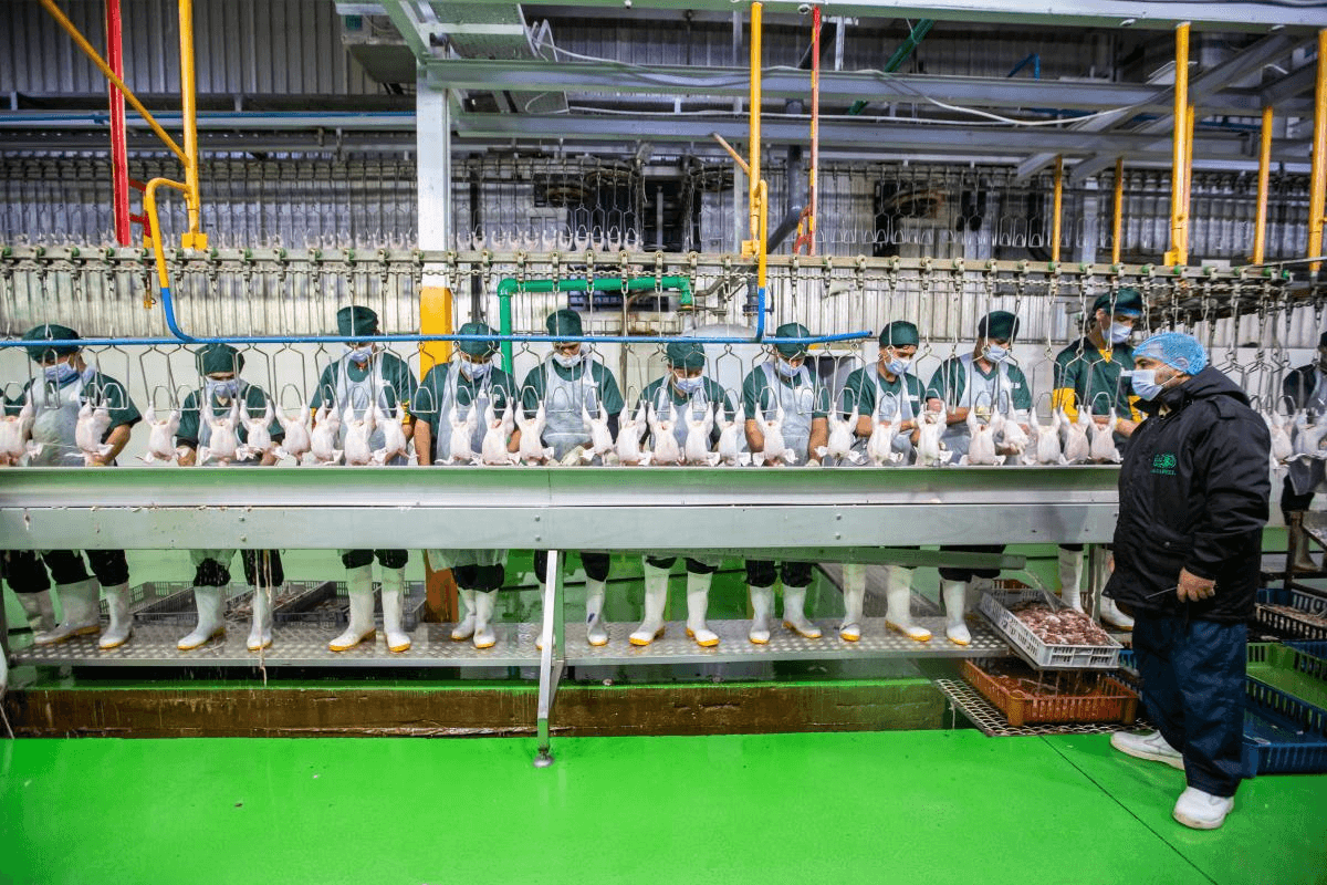 Halal Certification UAE Food Business: Process, Benefits & What Every F&B Manager Should Know