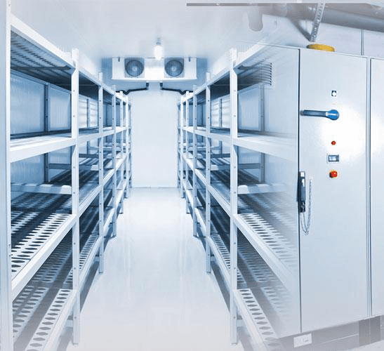 Cold Storage Temperature Requirements UAE Legal: Standards Every Food Business Must Understand